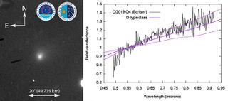 Observations of Comet C/2019 Q4 compared with average data for a class of solar system objects.