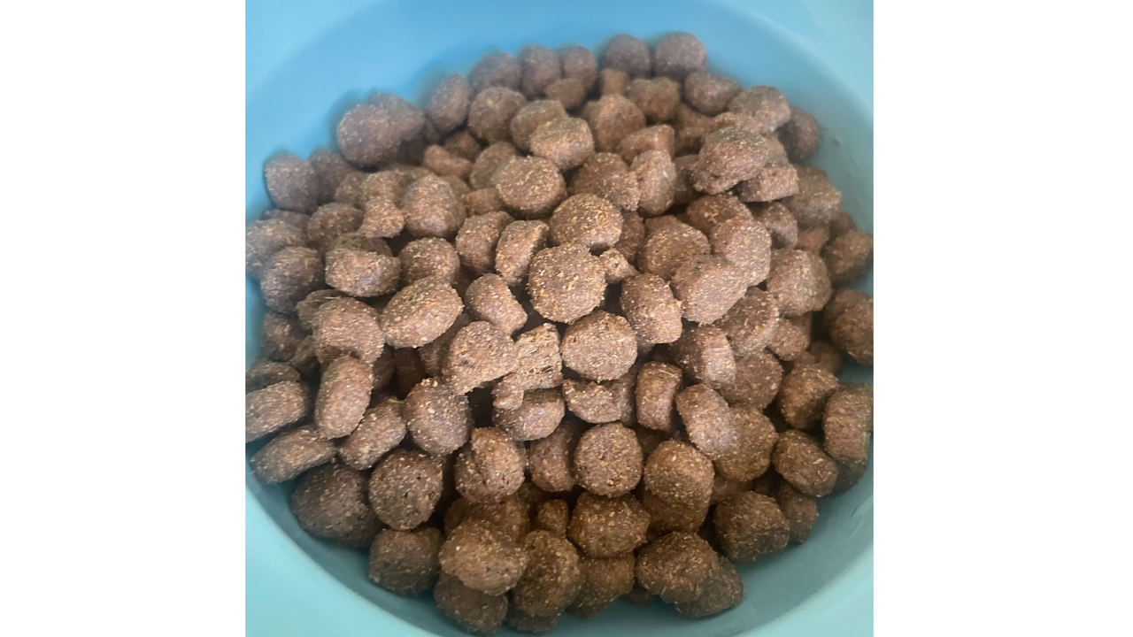 Merrick Limited Ingredient Real Salmon &amp; Sweet Potato Dry Dog Food