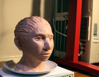 A 3D-printed model of a Denisovan woman's head sits on a plate in a laboratory.