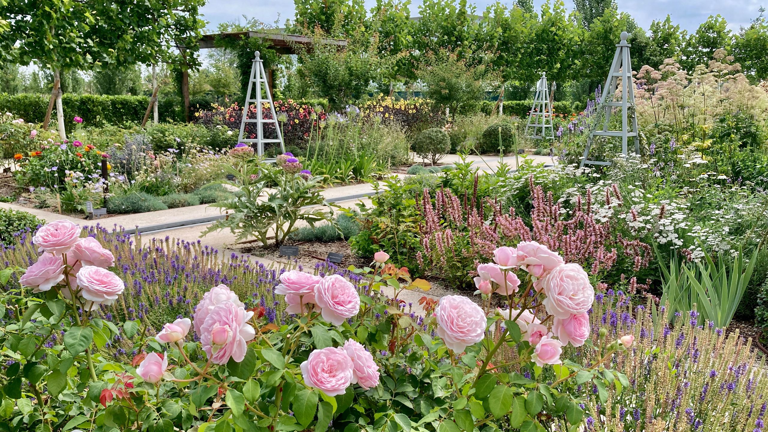 The Society of Garden Designers Awards 2022: the winners | Homes and ...