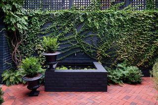 vine-covered black brick wall and trellis in backyard by Evelyn Pierce