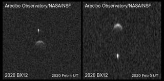 Radar images show the binary asteroid 2020 BX12, which scientists discovered this year.