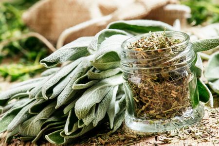 Jar Full Of Sage Herbs