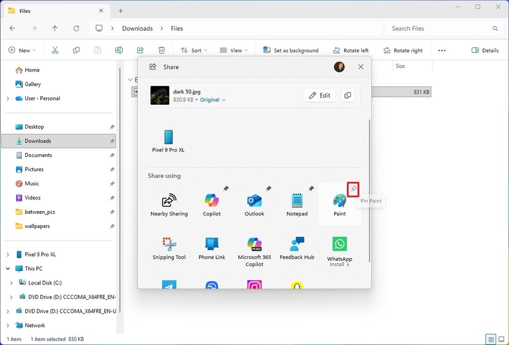 Windows Share Pin option