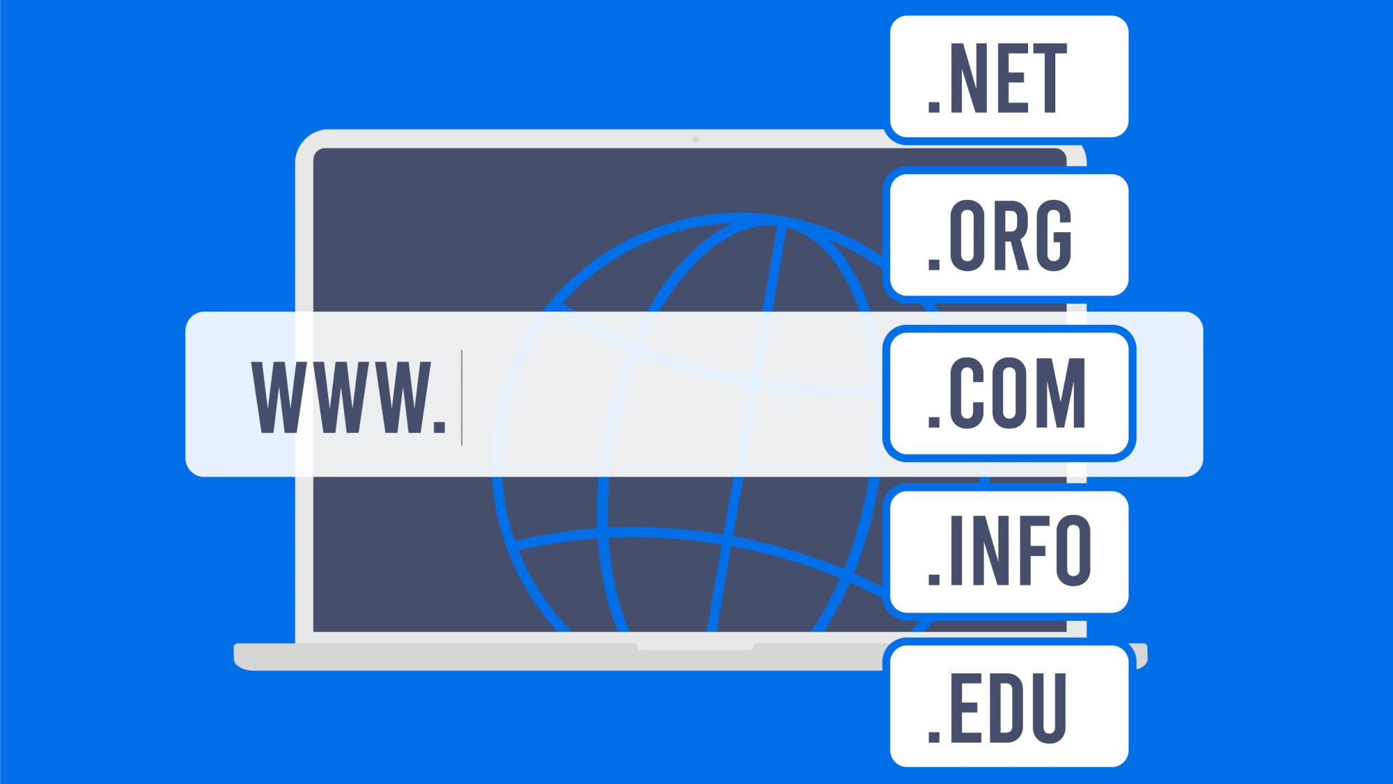 Vector illustration with laptop and search bar