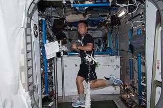 Wakata Runs on COLBERT Treadmill in ISS