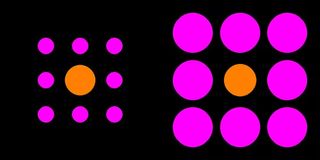 An optical illusion involving many magenta and orange coloured circles