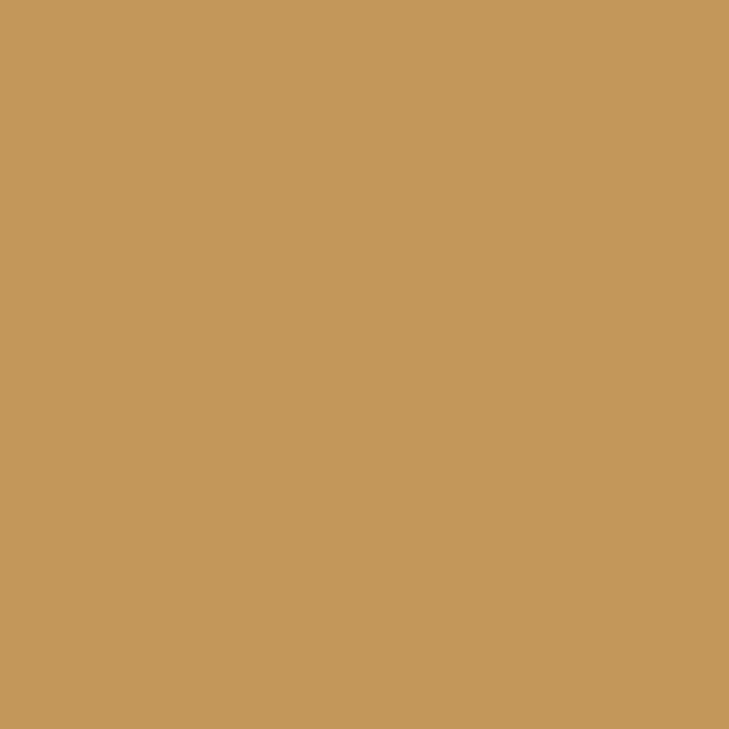 caramel paint swatch