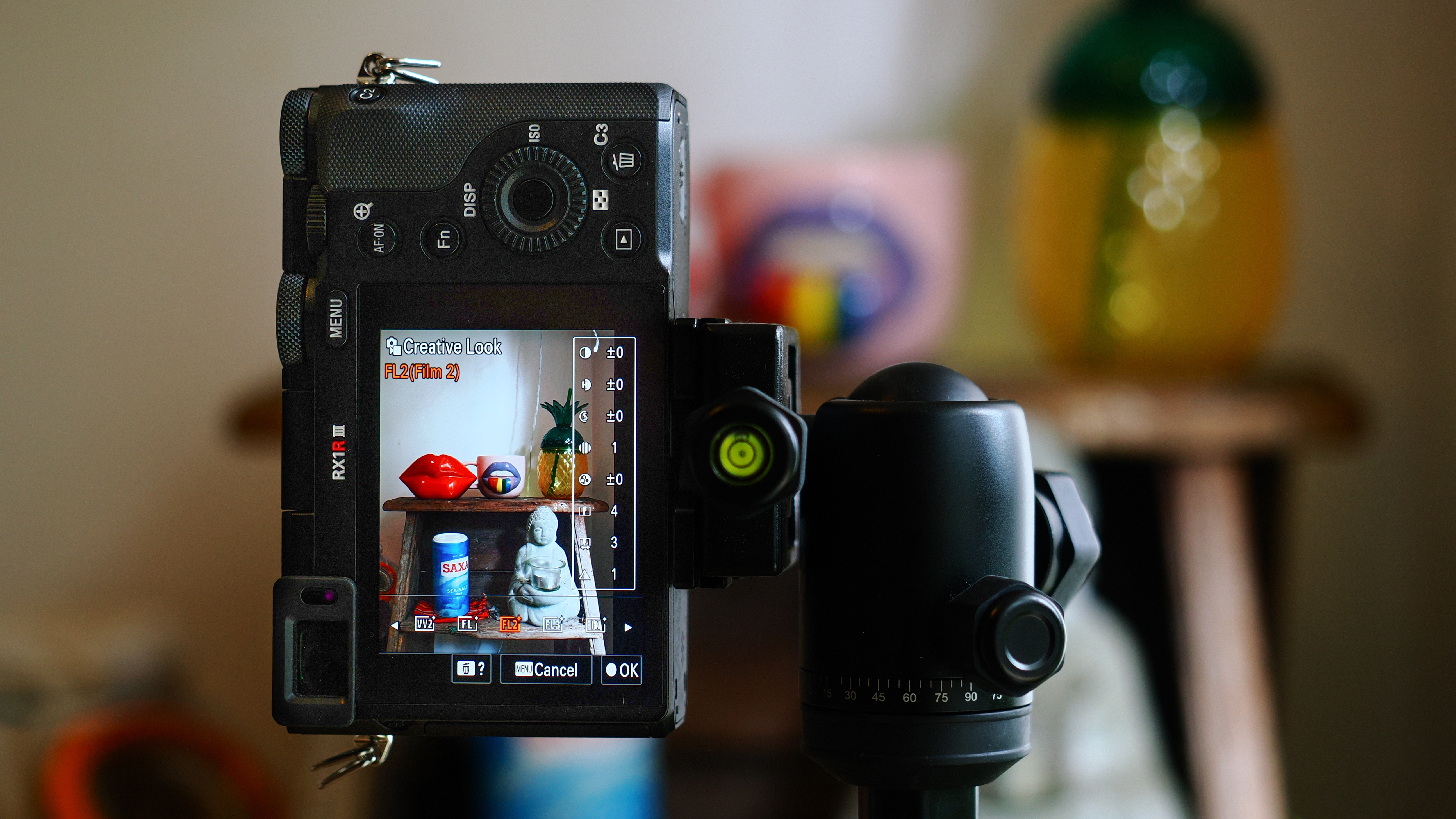 Sony RX1R III shooting vertically, with the vertical UI display