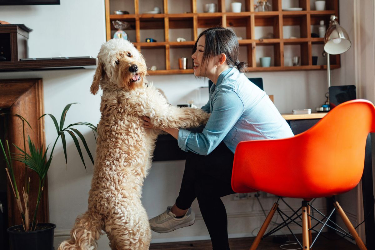 woman laughing with dog