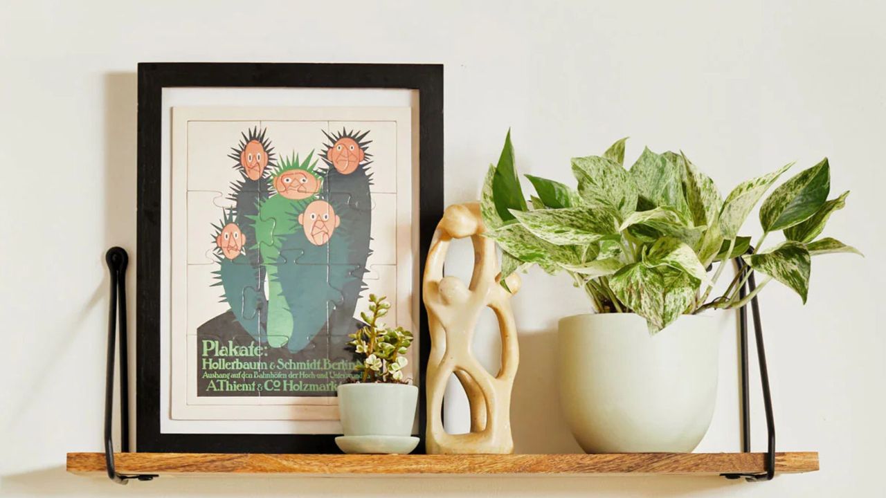 A pothos sits on a wall shelf beside a frame