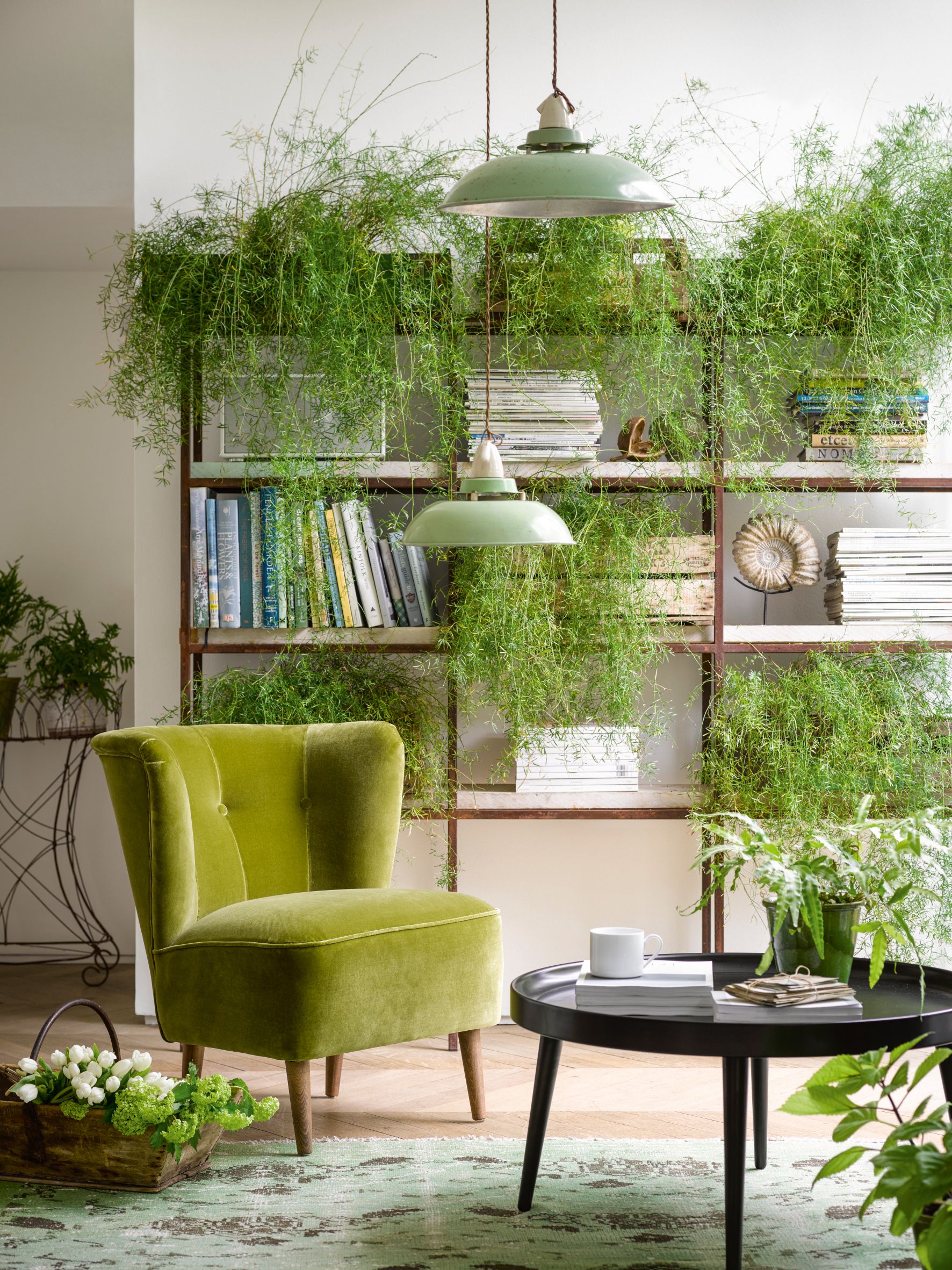 Ferns with a bookcase with circular coffee table and green accent chair