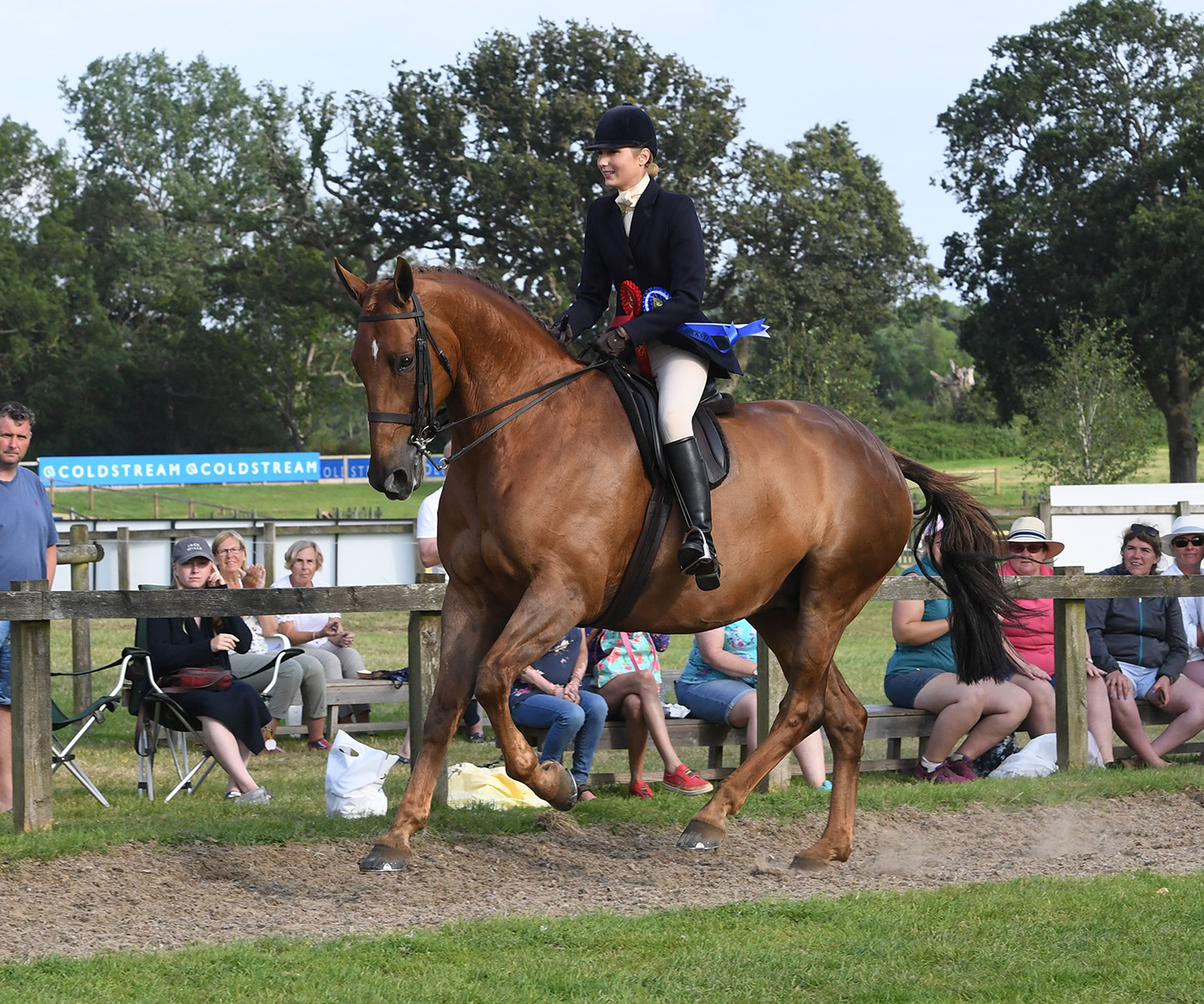 rihs-23-07-21amateur-hunter-res-champ-no-104