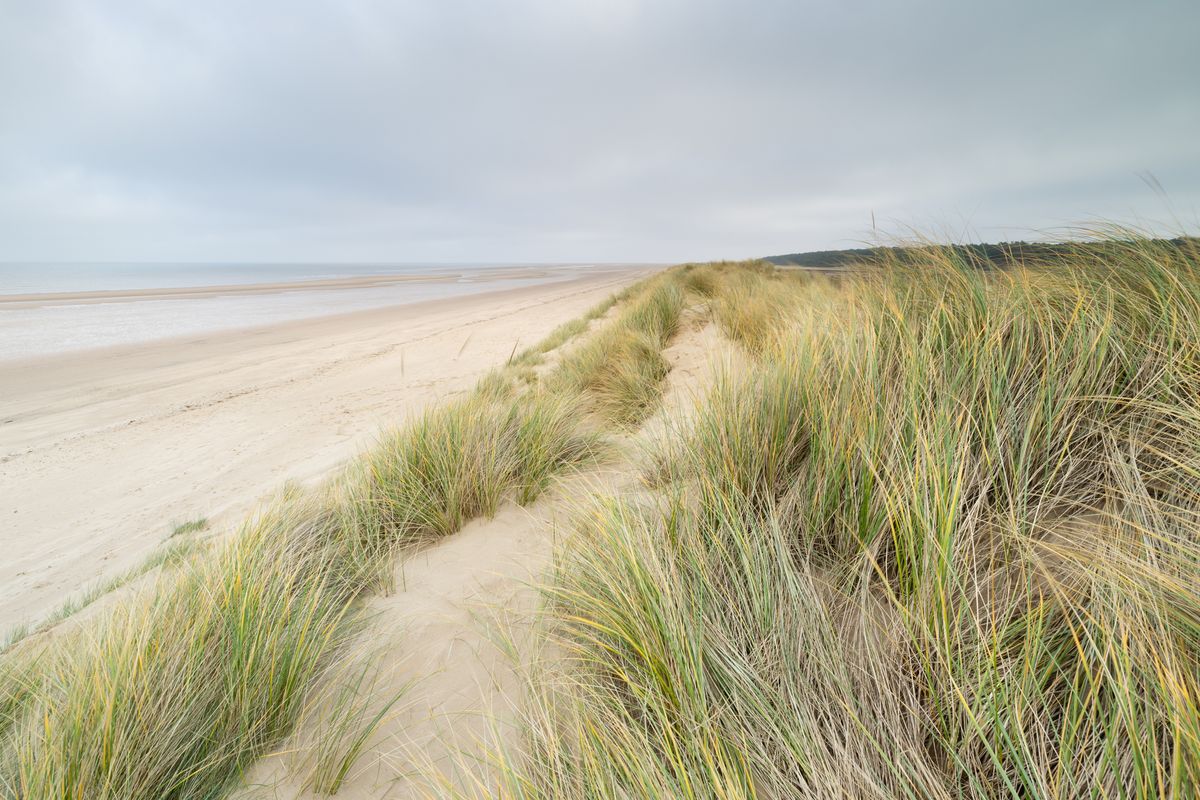 Photo of sand dunes taken with a Canon RF 15-35mm f/2.8L IS USM and Canon EOS R1