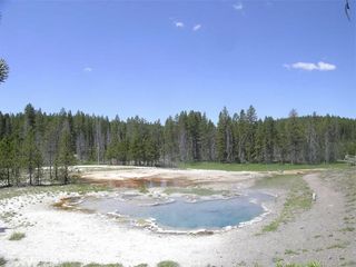 Octopus Spring, an alkaline siliceous hot spring in Yellowstone National Park.
