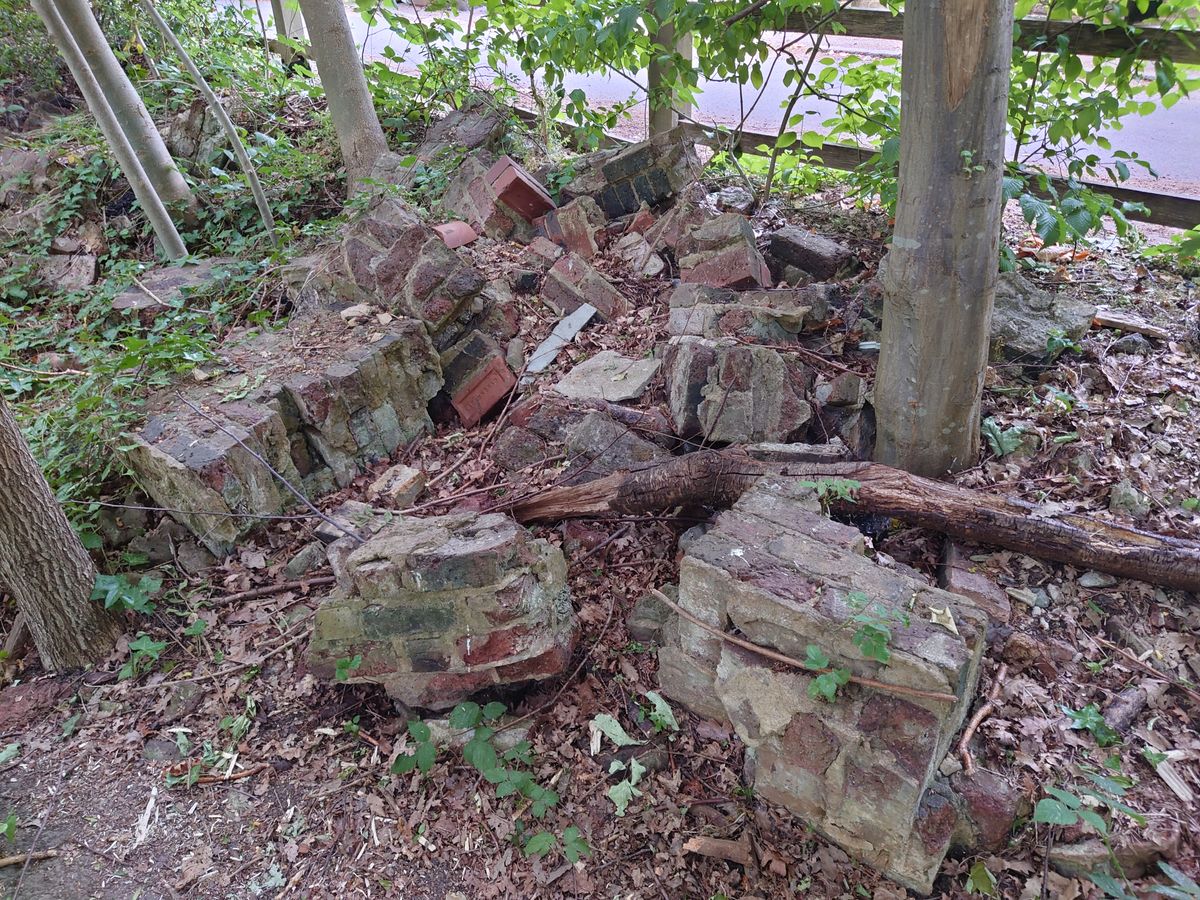 Sony Xperia 1 II camera samples