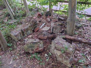 Sony Xperia 1 II camera samples