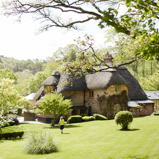 thatched house with grassland and trees