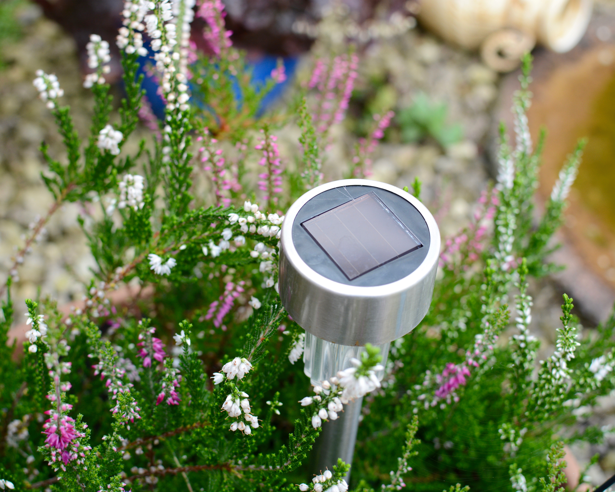 A small home garden solar panel