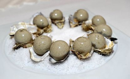 Liquified oysters 
