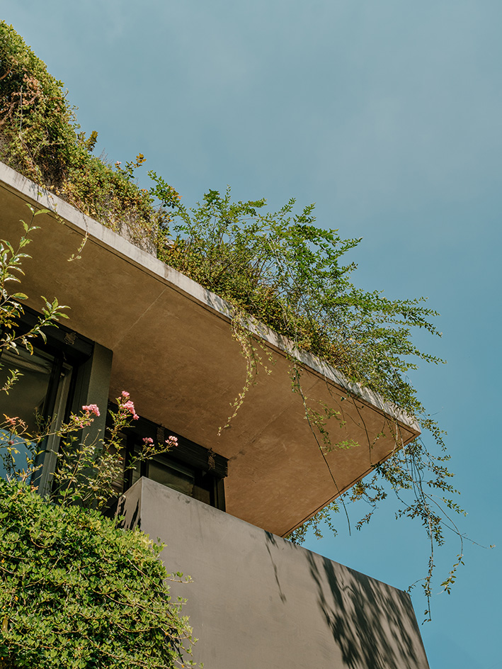 111 House _ Rodrigo Oliveira _ Isay Weinfeld, a brazilian house engulfed in greenery on all levels, nature takes over