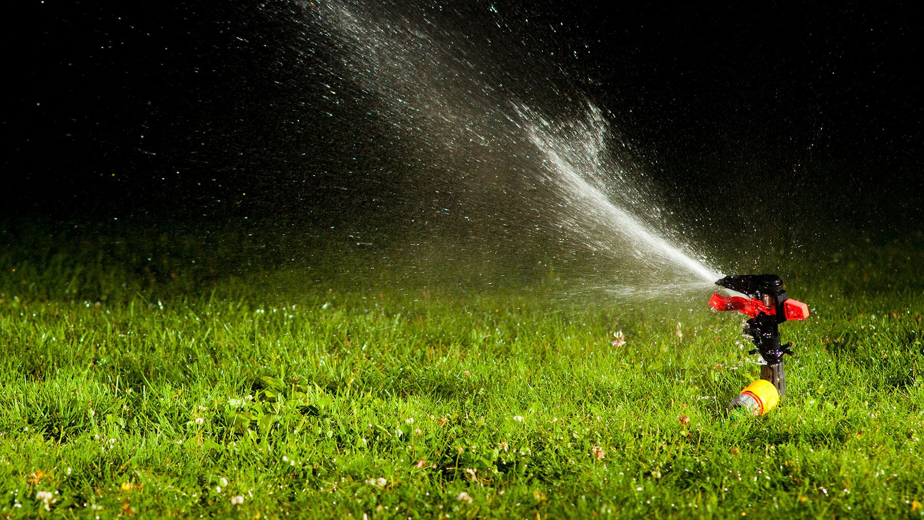 Is Watering Your Lawn At Night Bad www.homebuilding.co.uk