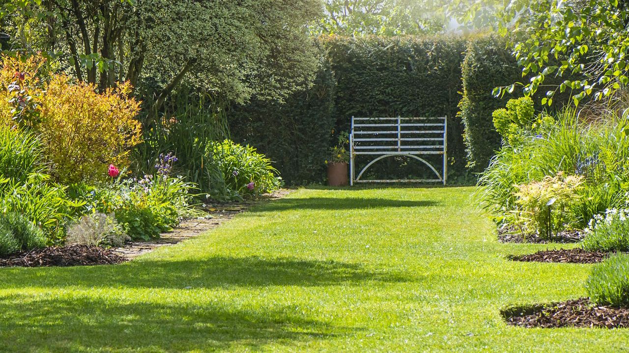 Pristine green lawn flanked by flower borders