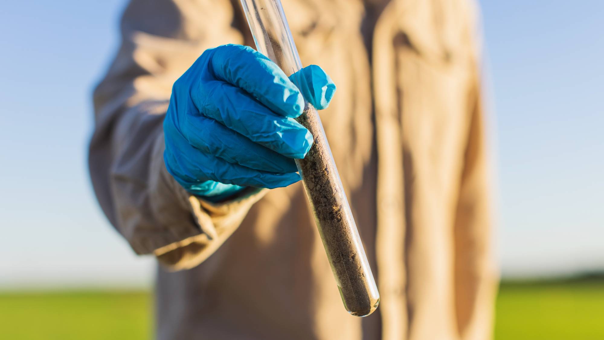 A gloved hand holds a test tube full of soil