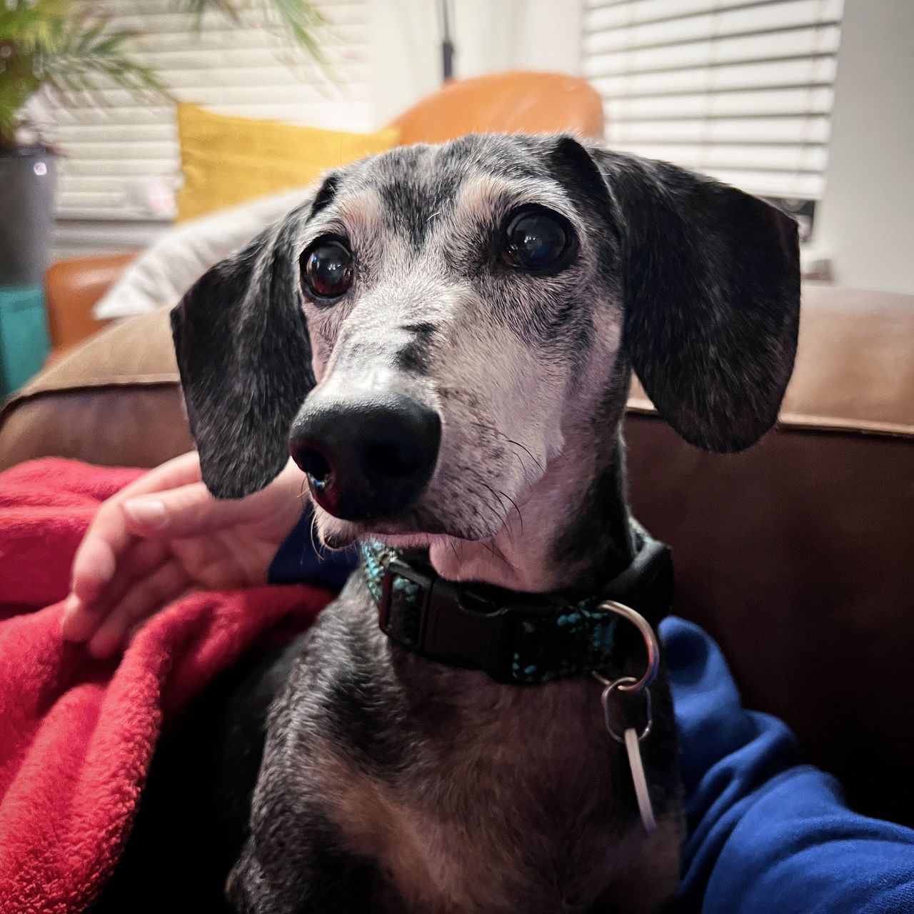 iPhone 13 Pro test picture