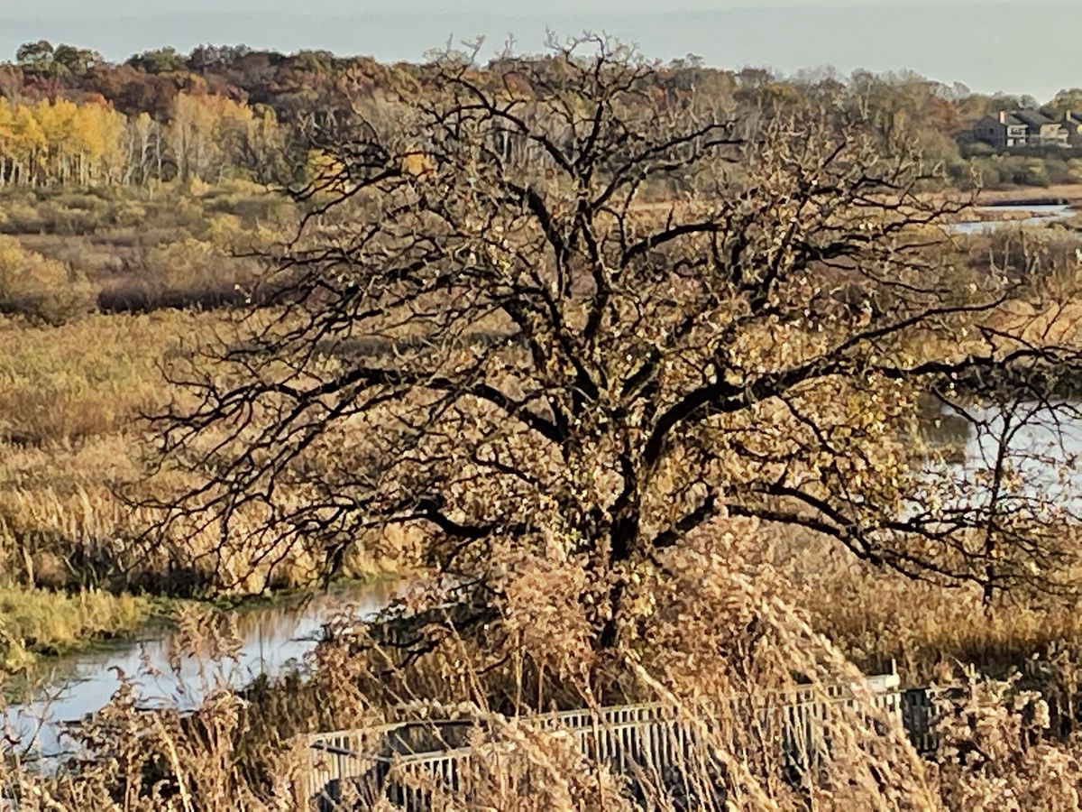 iPhone 12 camera samples