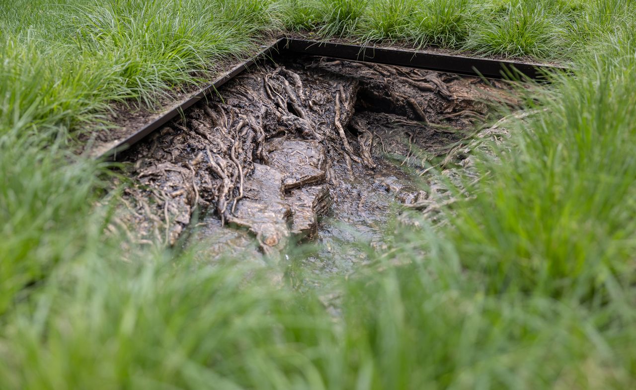 Cristina Iglesias, Landscape and Memory at Madison Square Park, 2022. Photography: Rashmi Gil