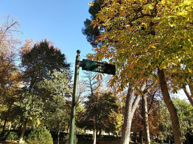 Sample photo
