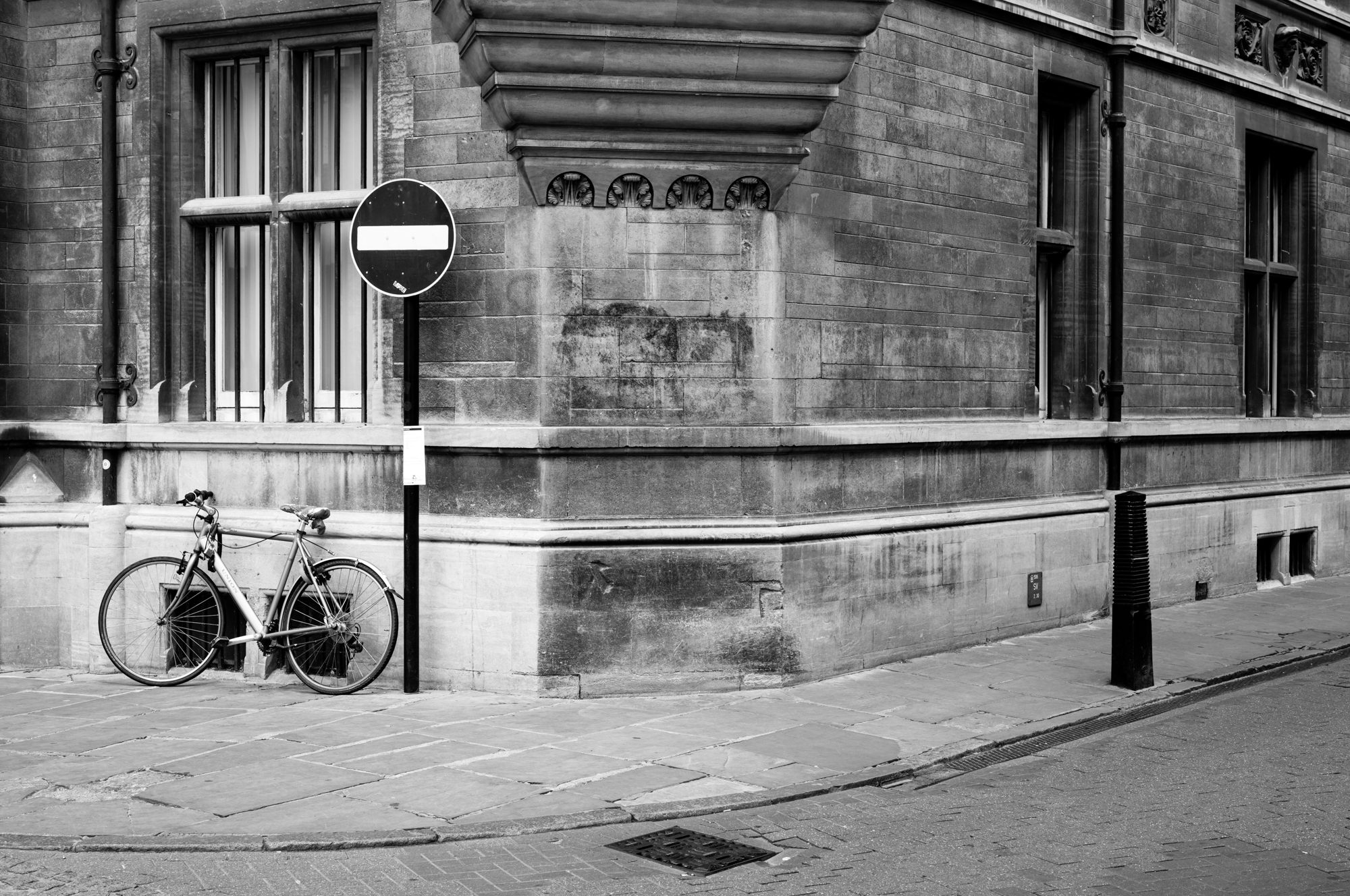 Leica M11 Monochrom photo
