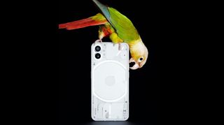 An official image of the Nothing Phone (1) from the back, with a parrot perched on it