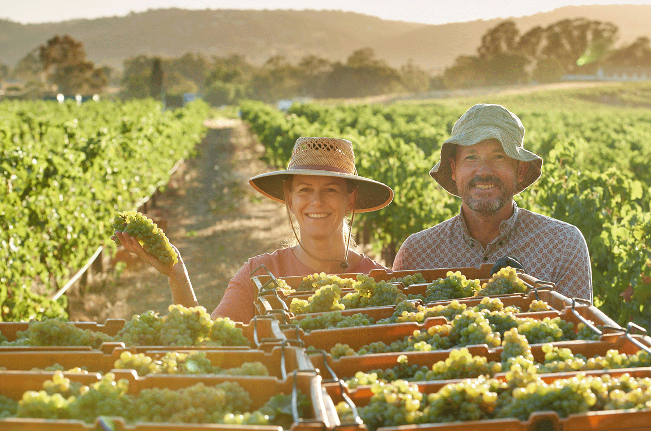 Chenin Blanc in Western Australia - Gen-and-Rob-Mann-Corymbia-Swan-Valley