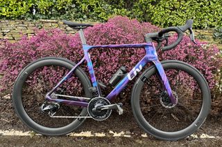 The purple Liv EnviLiv, which has the SRAM Force AXS, pictured in front of purple heather with greenery and a stone wall in the background