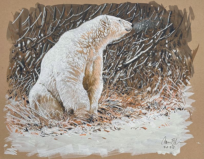 Images from Aaron Blaise's art studio