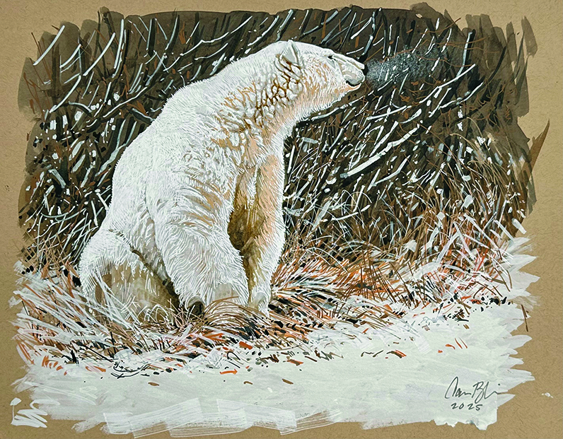 Images from Aaron Blaise's art studio