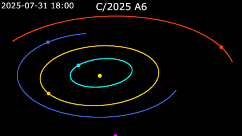 Looped video footage of an orbital diagram showing how Comet Lemmon will move through the inner solar system