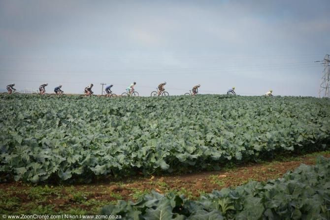 The leaders pass some agriculture during the Hilton Marathon
