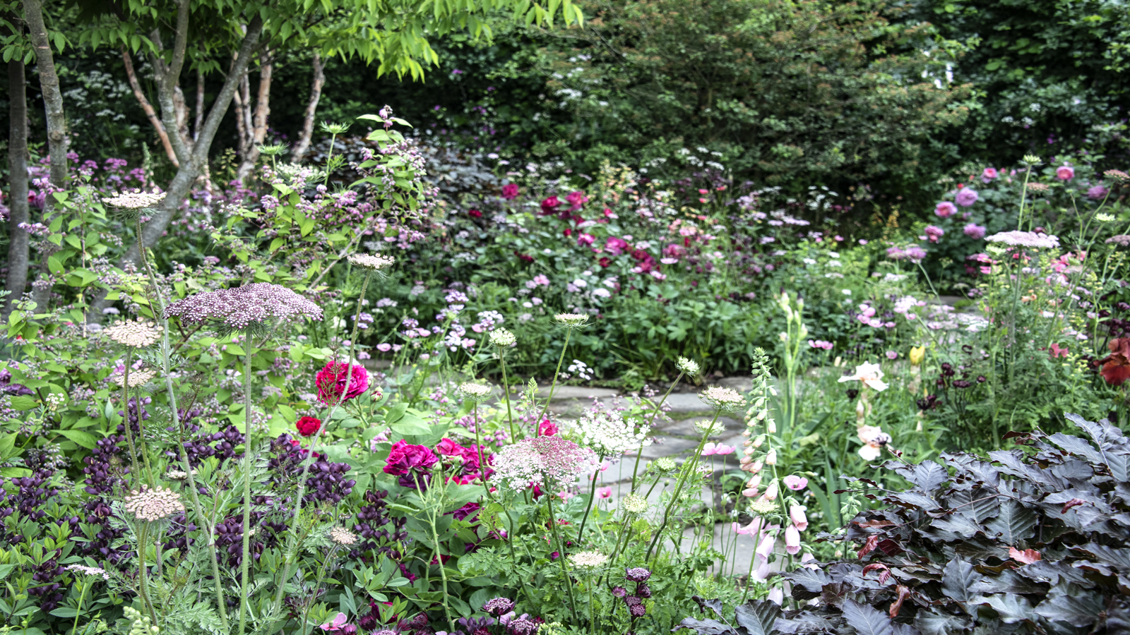 A garden with a pathway and perennial and annual plants in the foreground and trees and hedging behind.