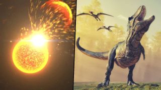 Composite of a simulation of an enormous solar flare and coronal mass ejection (CME) blasting out of the sun and an artist's interpretation of what Tyrannosaurus rex may have looked like