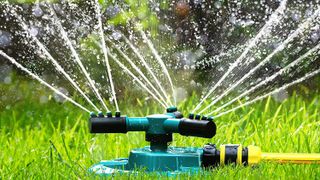 ENJSD rotating water sprinkler in use in a garden