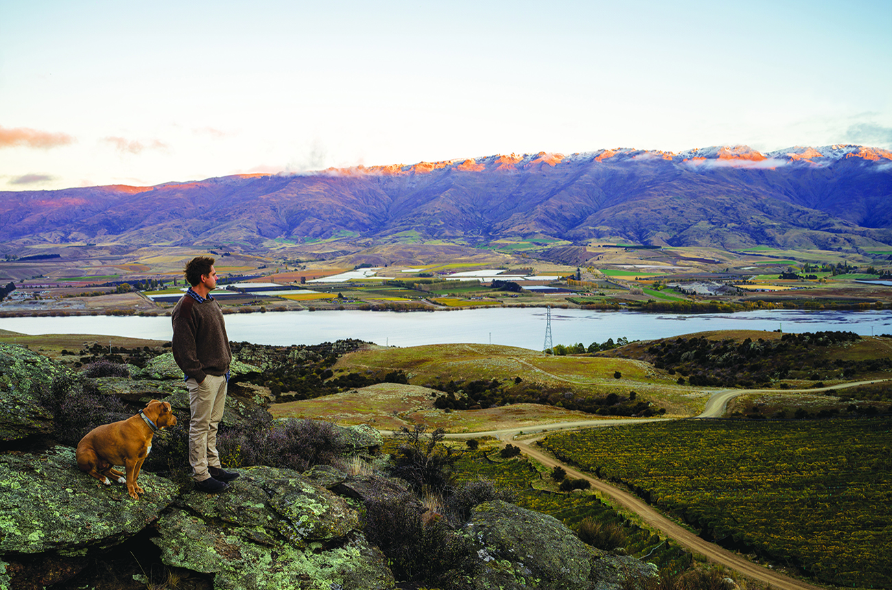 New Zealand's wine scene