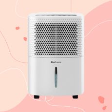 Pro Breeze 12L Low Energy Dehumidifier on pink background