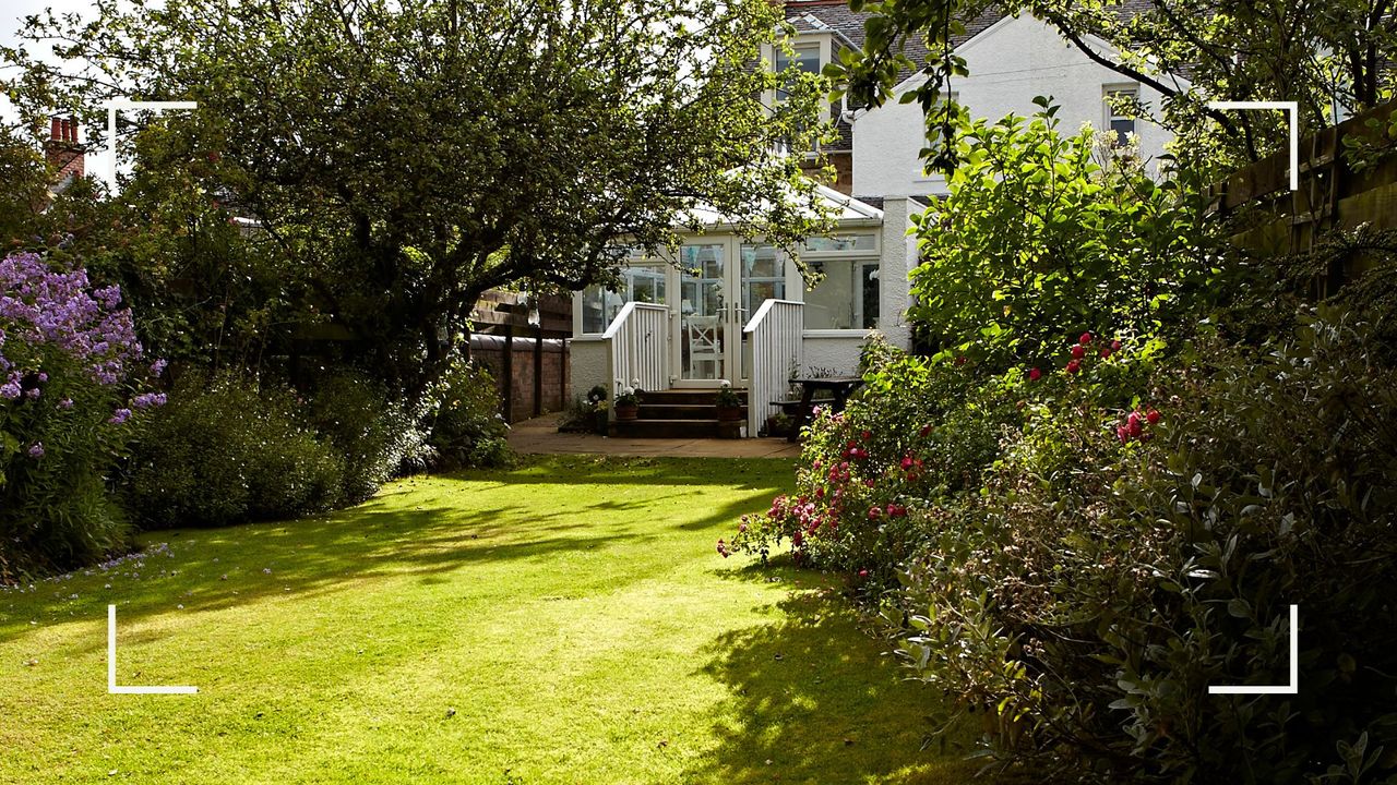 A backyard with a lawn to highlight summer essential lawn care tips