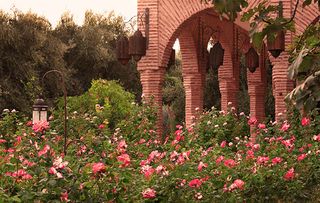 The Beldi Country Club garden in Marrakesh, photographed by Alessio Mei