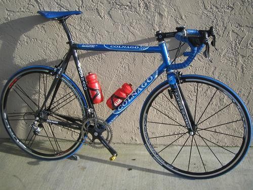 The sweeet C50 steed Chady will be riding in 2006