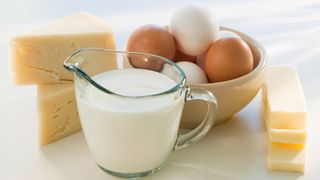 Dairy products, including milk, eggs and cheese, some of the best sources of vitamin b12