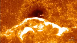 A spectacular solar flare erupts near a huge sunspot on the surface of the sun in this view from the Japanese Hinode solar observatory.